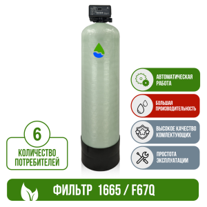 Фильтр обезжелезивания, сорбции воды Runxin 1665/F67Q1